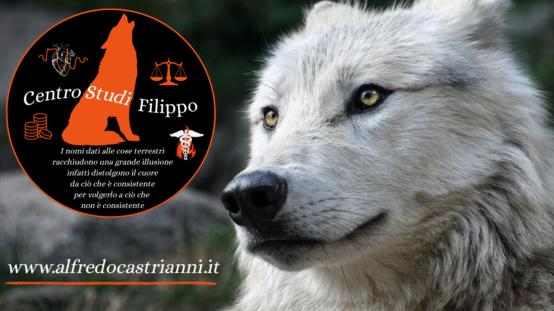 Copertina Logo Lupo.png